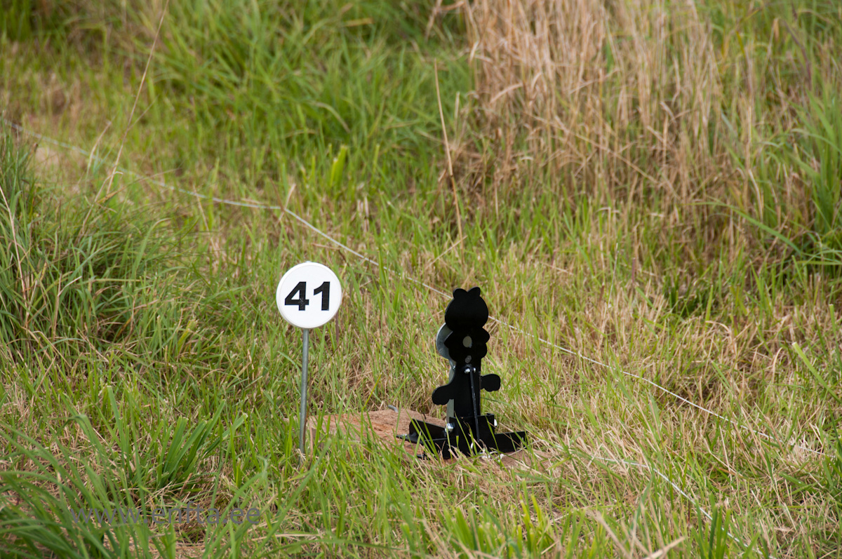 Garfield on the field